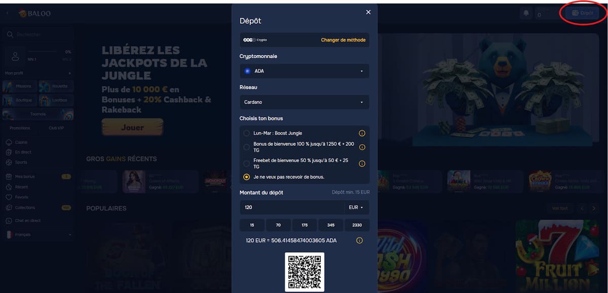 Dépôt Baloo Casino