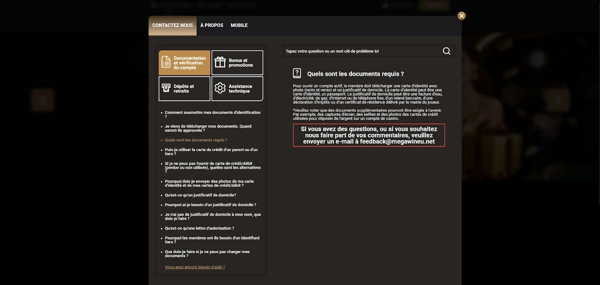 Service client Mega Win Casino