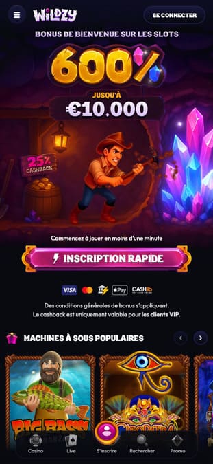 Wildzy Casino Application Wildzy Casino Application