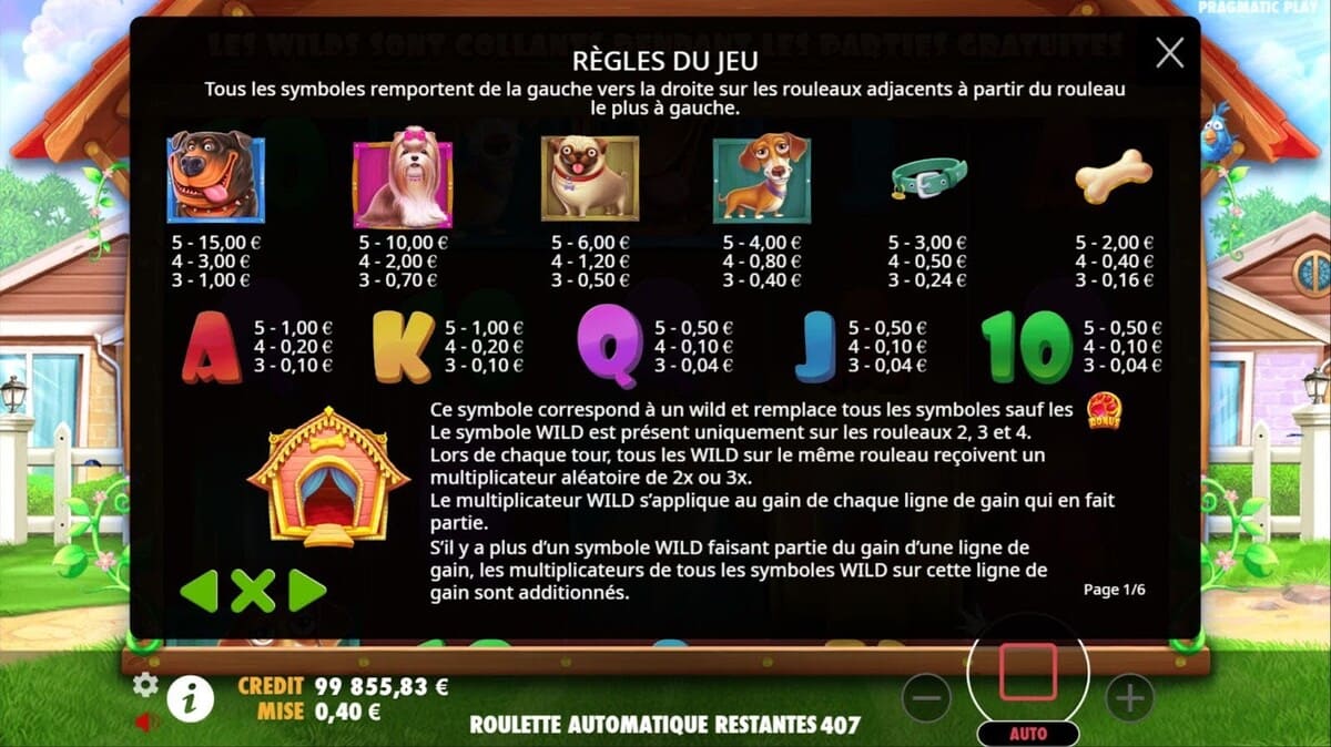 Règles du jeu The Dog House Slot Jeu
